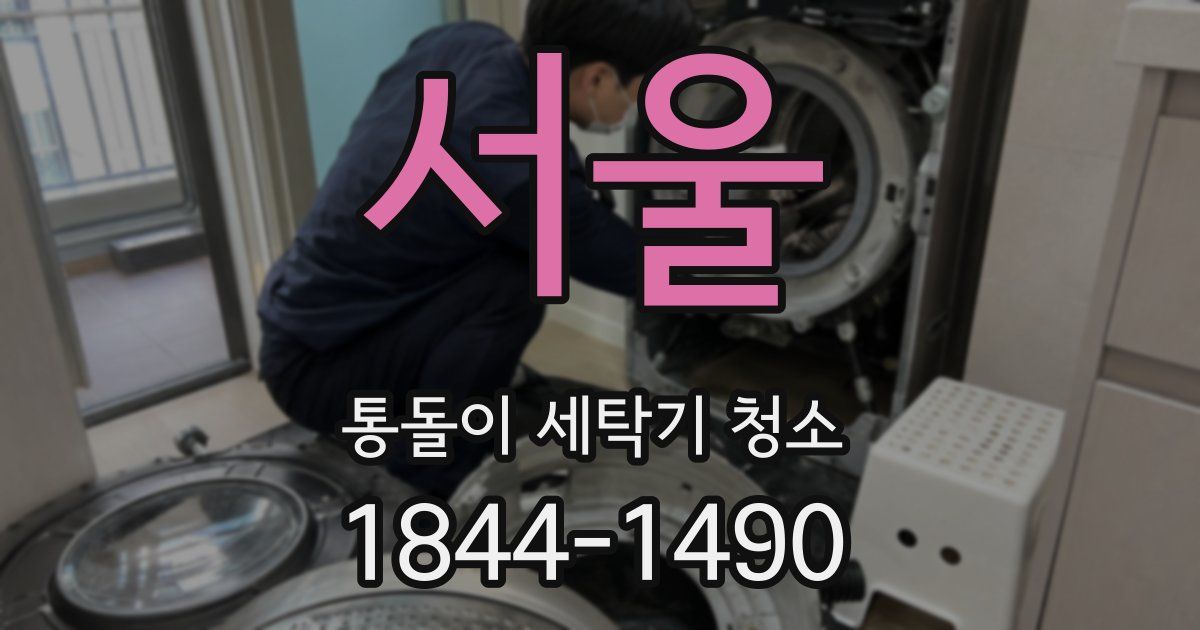 서울 통돌이 세탁기 청소