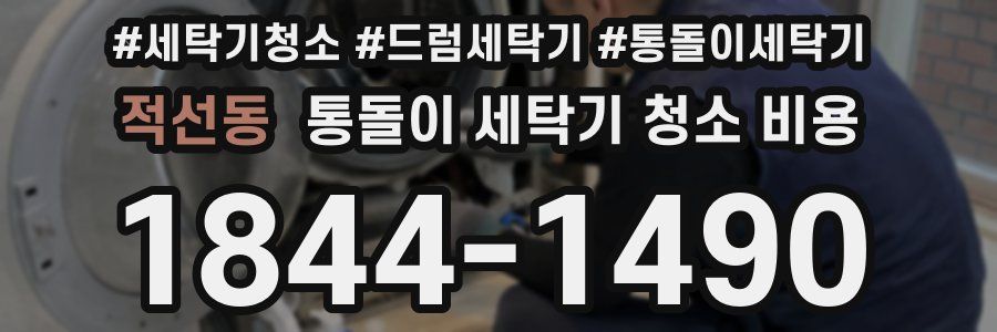 적선동 통돌이 세탁기 청소 비용