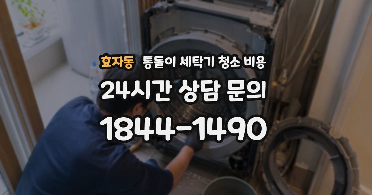 효자동 통돌이 세탁기 청소 비용