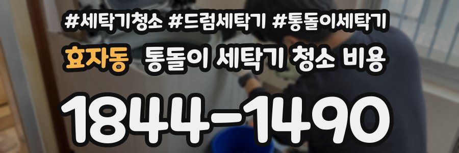 효자동 통돌이 세탁기 청소 비용