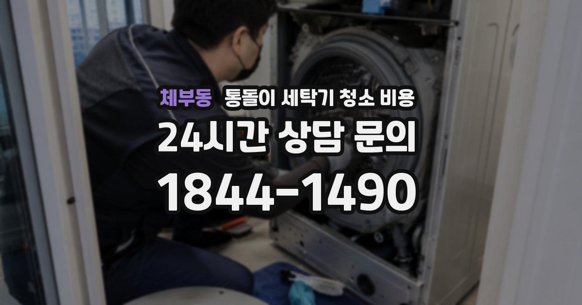체부동 통돌이 세탁기 청소 비용