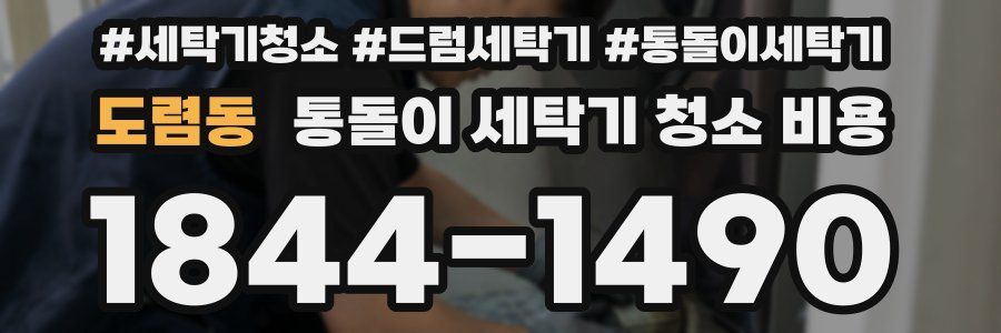 도렴동 통돌이 세탁기 청소 비용