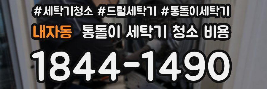 내자동 통돌이 세탁기 청소 비용