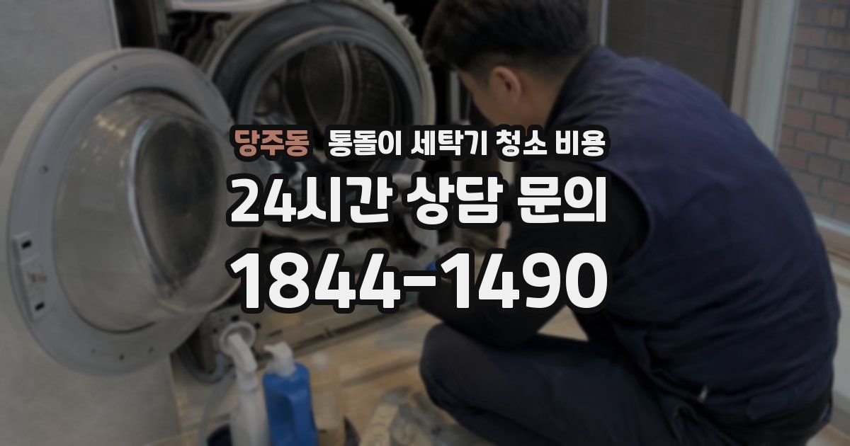 당주동 통돌이 세탁기 청소 비용