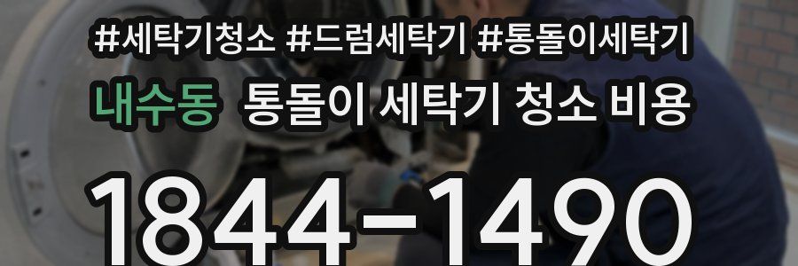 내수동 통돌이 세탁기 청소 비용