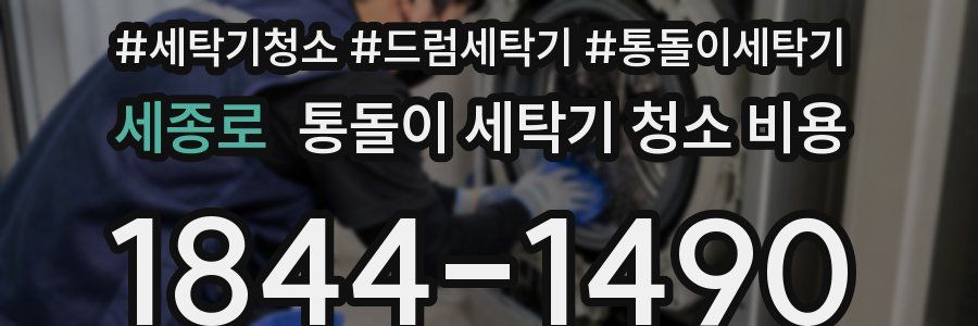 세종로 통돌이 세탁기 청소 비용