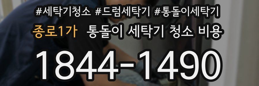 종로1가 통돌이 세탁기 청소 비용
