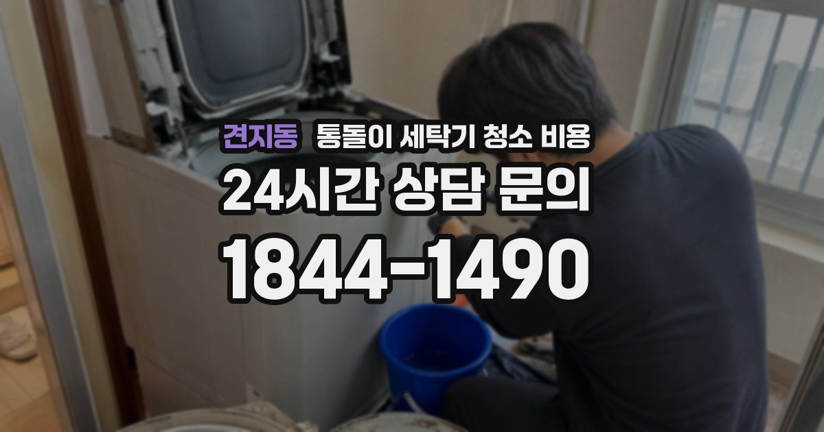 견지동 통돌이 세탁기 청소 비용