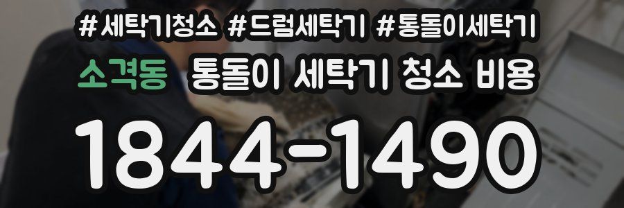 소격동 통돌이 세탁기 청소 비용