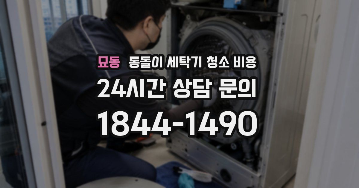 묘동 통돌이 세탁기 청소 비용