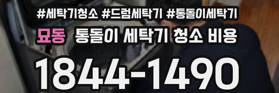 묘동 통돌이 세탁기 청소 비용