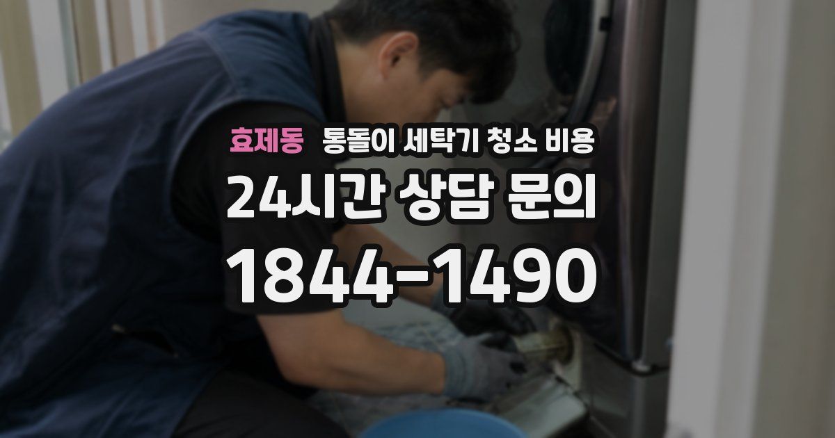 효제동 통돌이 세탁기 청소 비용