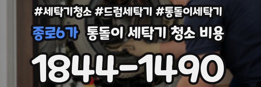 종로6가 통돌이 세탁기 청소 비용