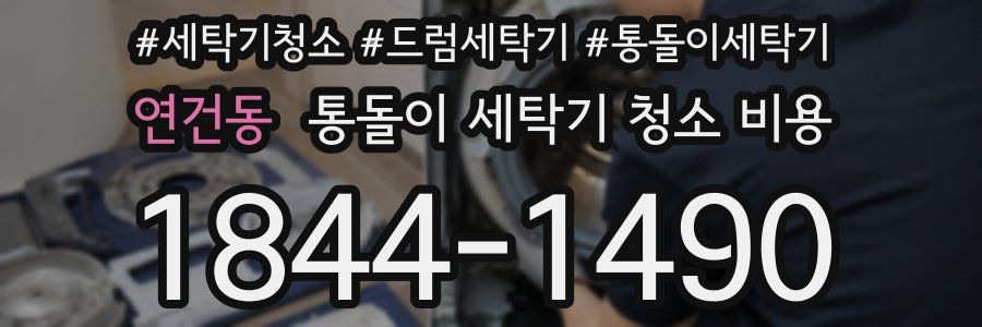 연건동 통돌이 세탁기 청소 비용