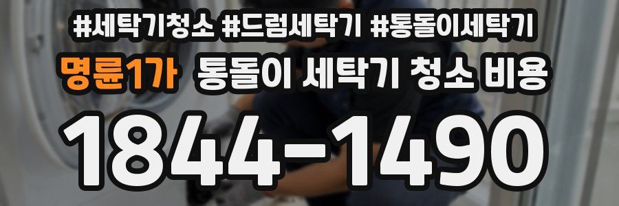 명륜1가 통돌이 세탁기 청소 비용