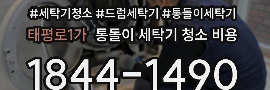 태평로1가 통돌이 세탁기 청소 비용
