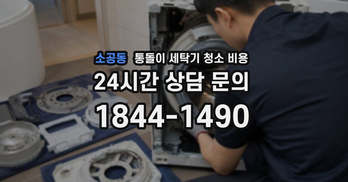 소공동 통돌이 세탁기 청소 비용