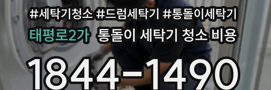 태평로2가 통돌이 세탁기 청소 비용