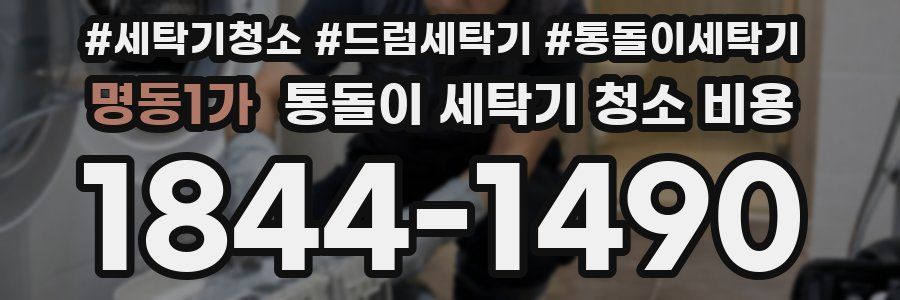 명동1가 통돌이 세탁기 청소 비용