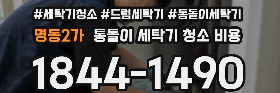 명동2가 통돌이 세탁기 청소 비용