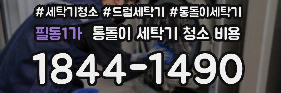 필동1가 통돌이 세탁기 청소 비용
