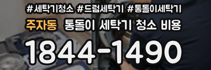 주자동 통돌이 세탁기 청소 비용