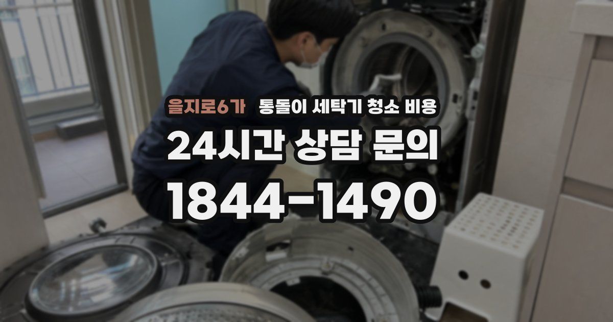 을지로6가 통돌이 세탁기 청소 비용