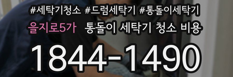 을지로5가 통돌이 세탁기 청소 비용