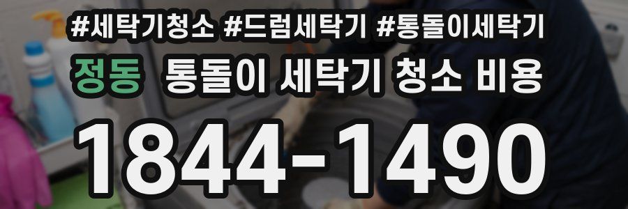 정동 통돌이 세탁기 청소 비용