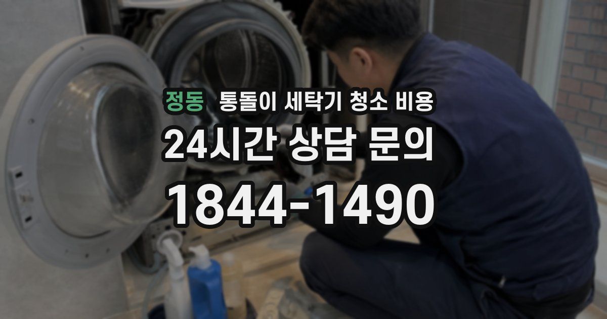 정동 통돌이 세탁기 청소 비용