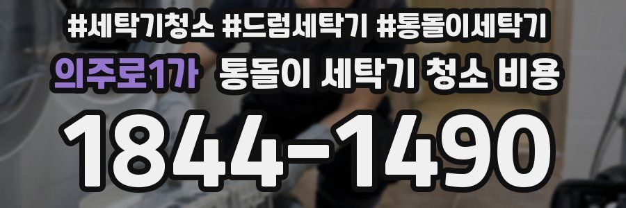 의주로1가 통돌이 세탁기 청소 비용