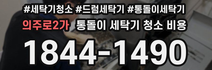 의주로2가 통돌이 세탁기 청소 비용