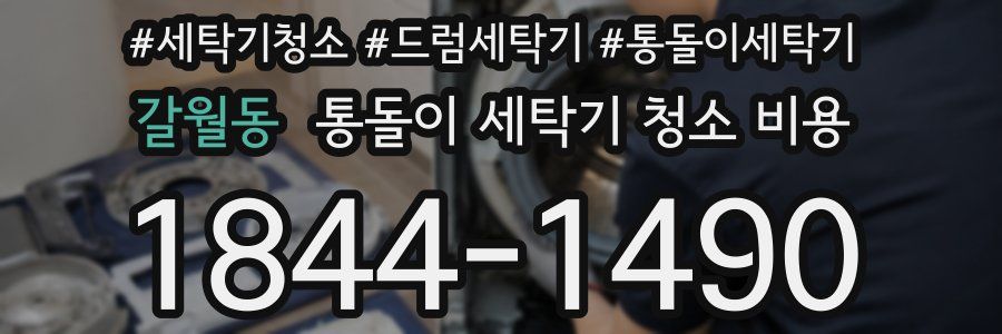갈월동 통돌이 세탁기 청소 비용