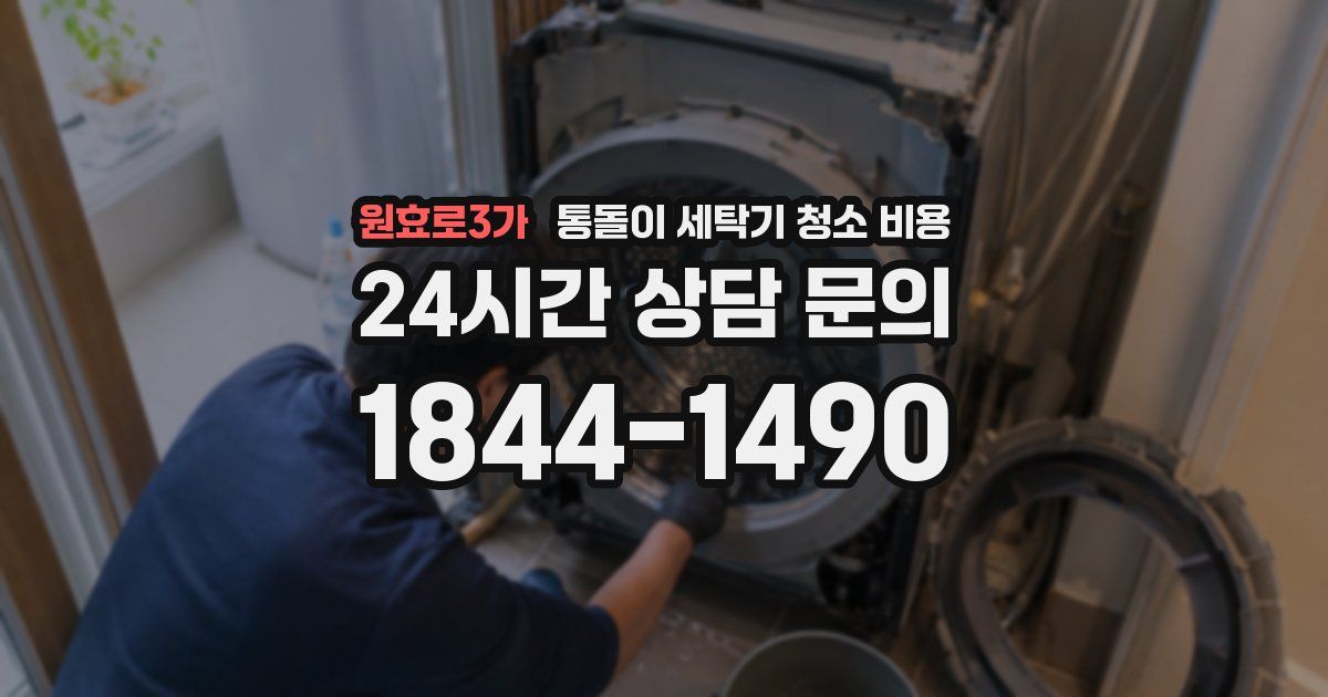 원효로3가 통돌이 세탁기 청소 비용