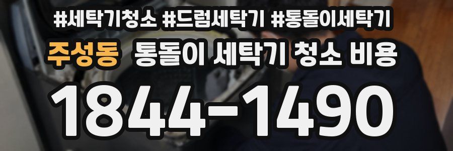 주성동 통돌이 세탁기 청소 비용