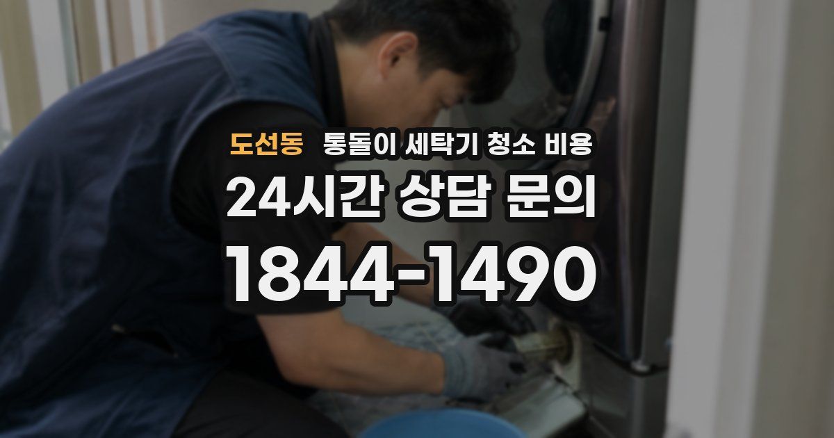 도선동 통돌이 세탁기 청소 비용