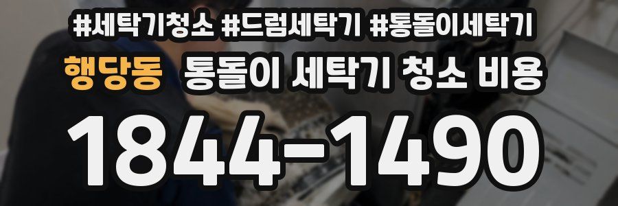 행당동 통돌이 세탁기 청소 비용