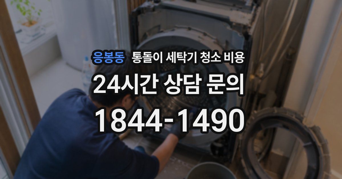 응봉동 통돌이 세탁기 청소 비용
