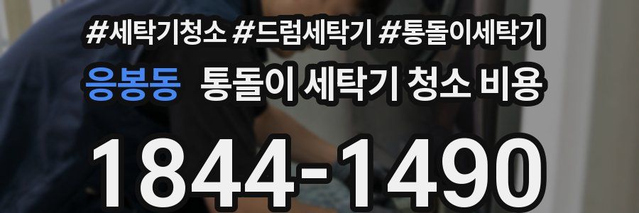 응봉동 통돌이 세탁기 청소 비용