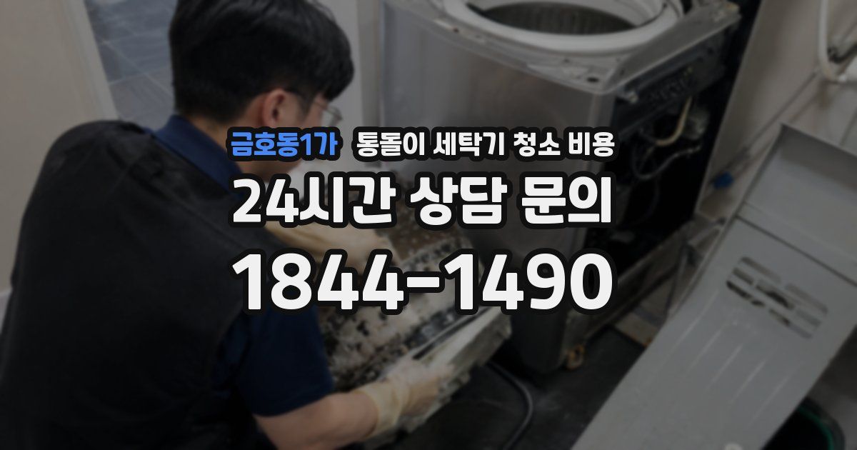 금호동1가 통돌이 세탁기 청소 비용