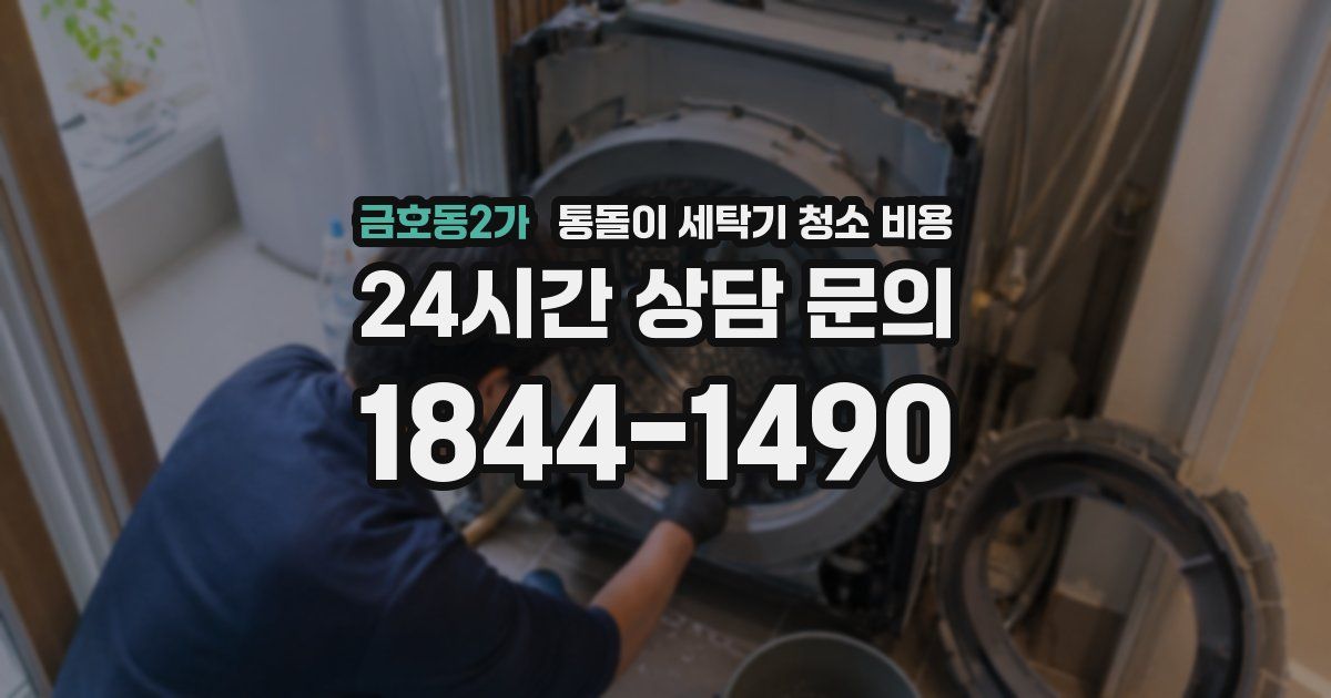 금호동2가 통돌이 세탁기 청소 비용