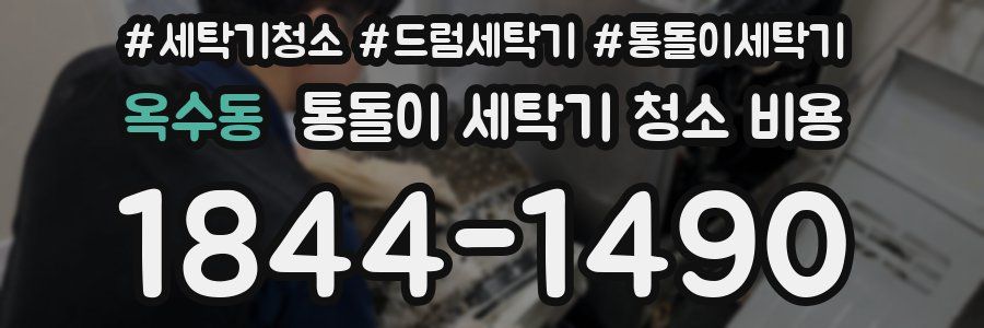 옥수동 통돌이 세탁기 청소 비용