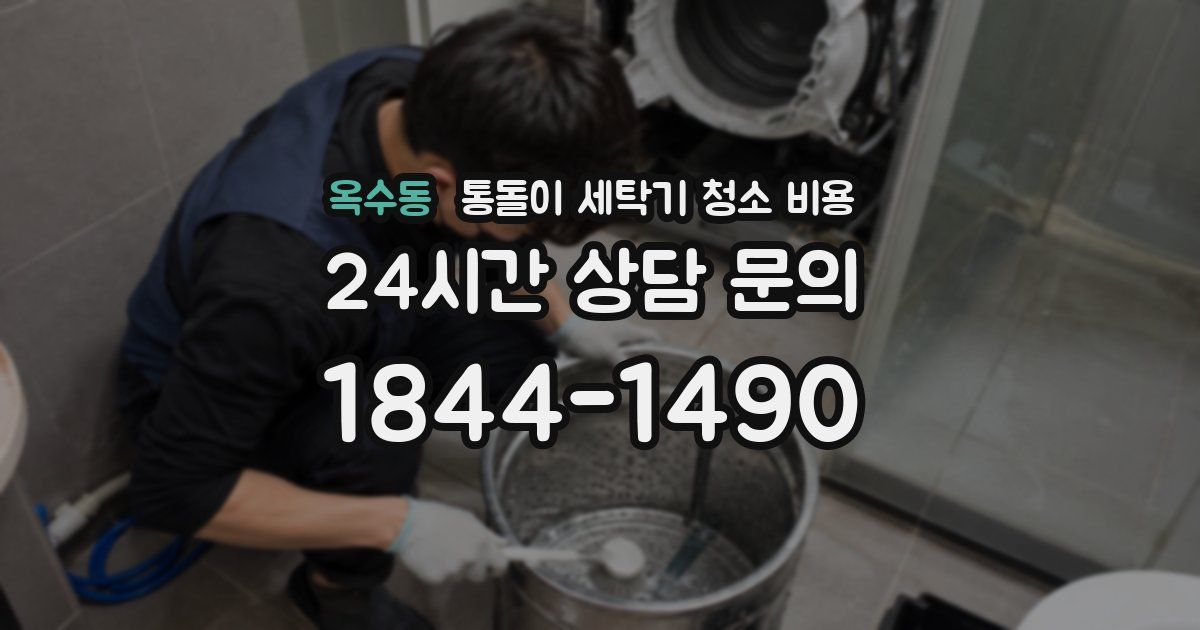 옥수동 통돌이 세탁기 청소 비용