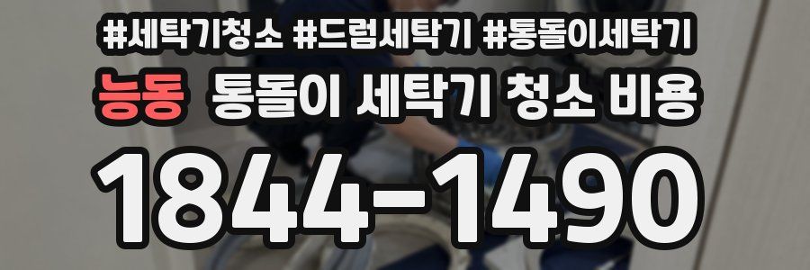 능동 통돌이 세탁기 청소 비용