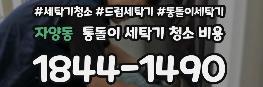 자양동 통돌이 세탁기 청소 비용