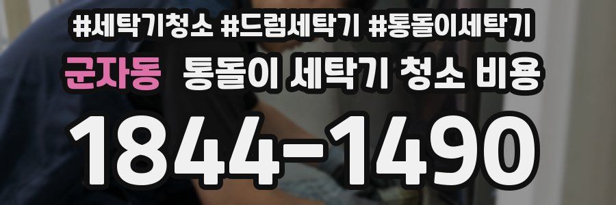 군자동 통돌이 세탁기 청소 비용