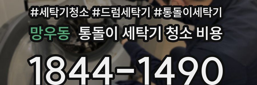 망우동 통돌이 세탁기 청소 비용