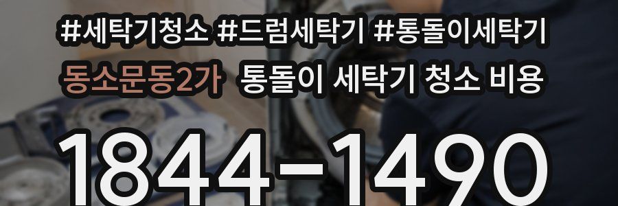 동소문동2가 통돌이 세탁기 청소 비용