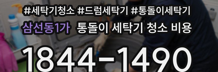 삼선동1가 통돌이 세탁기 청소 비용