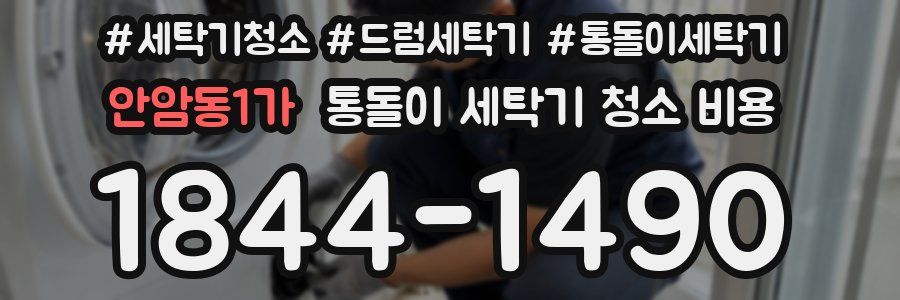 안암동1가 통돌이 세탁기 청소 비용